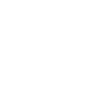DigitX Code Logo